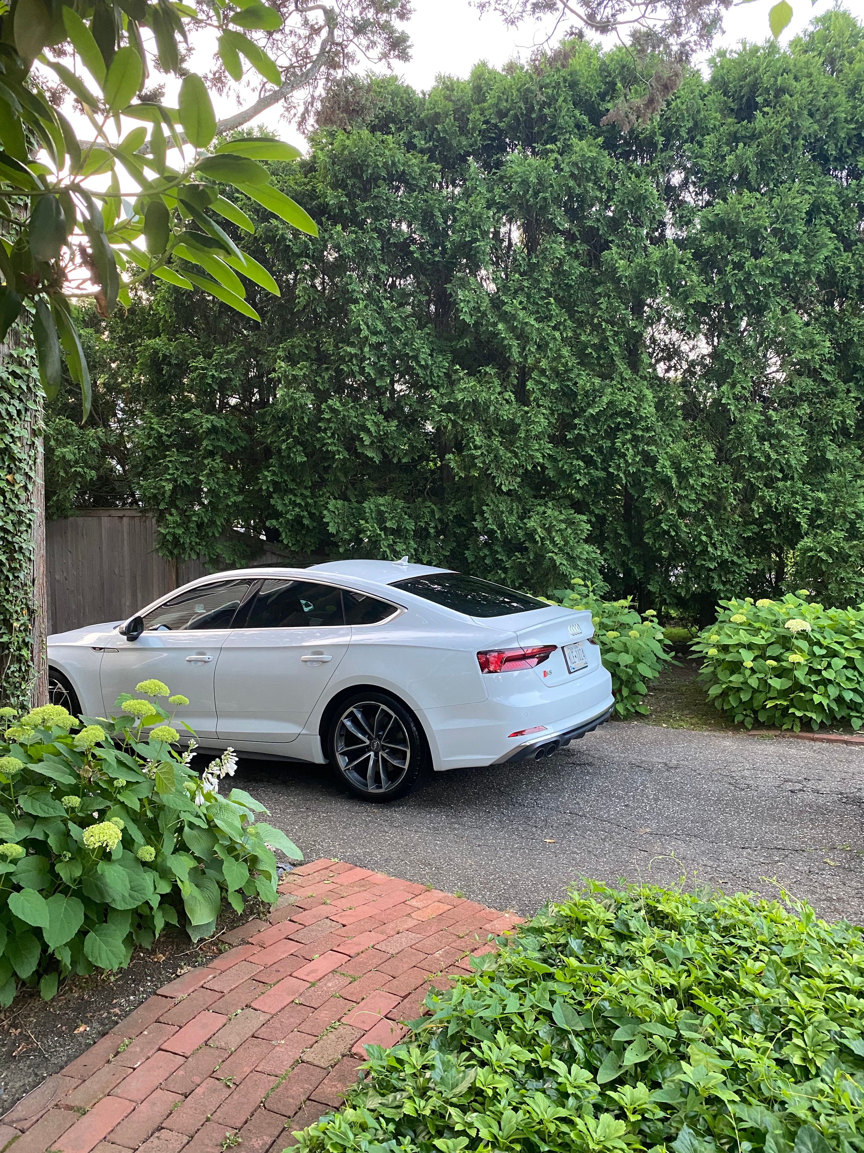 White Audi sedan detailed beside ivy-covered walls
